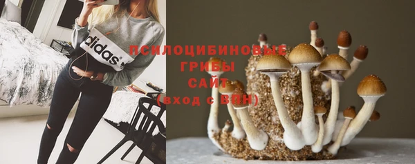 каннабис Горнозаводск